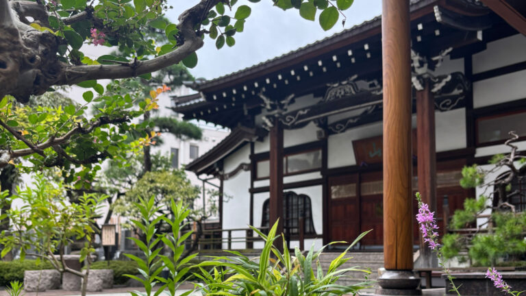 本堂池から